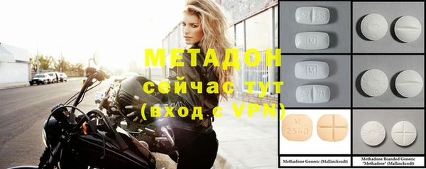 прущие грибы Балабаново