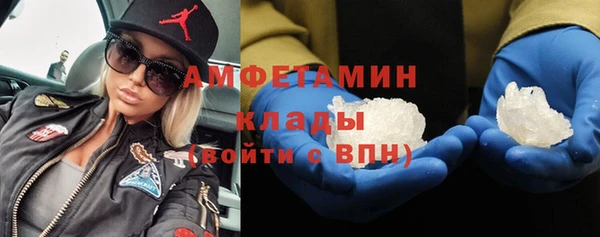 прущие грибы Балабаново