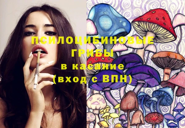 прущие грибы Балабаново