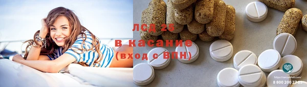 прущие грибы Балабаново