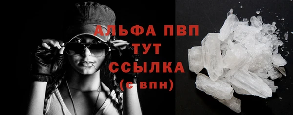 стафф Баксан