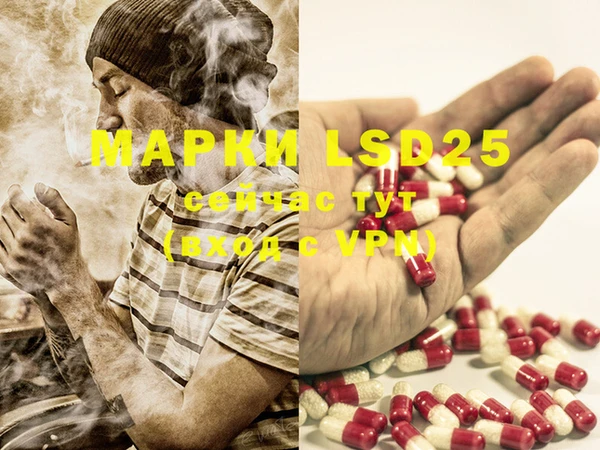 PSILOCYBIN Новозыбков