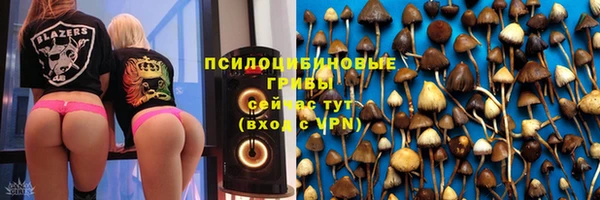 прущие грибы Балабаново