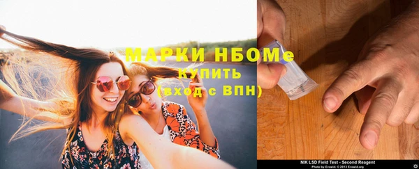 прущие грибы Балабаново