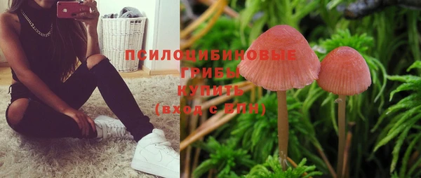 прущие грибы Балабаново